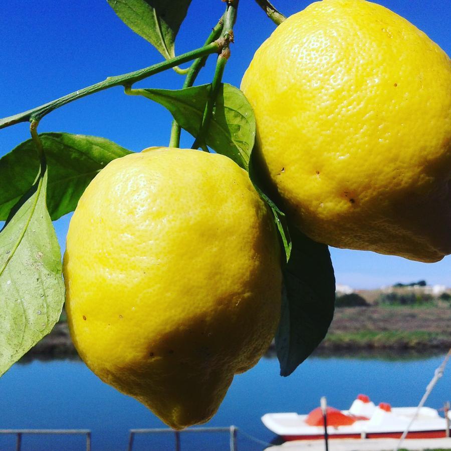 Torre Del Lago Foce Varano Εξωτερικό φωτογραφία